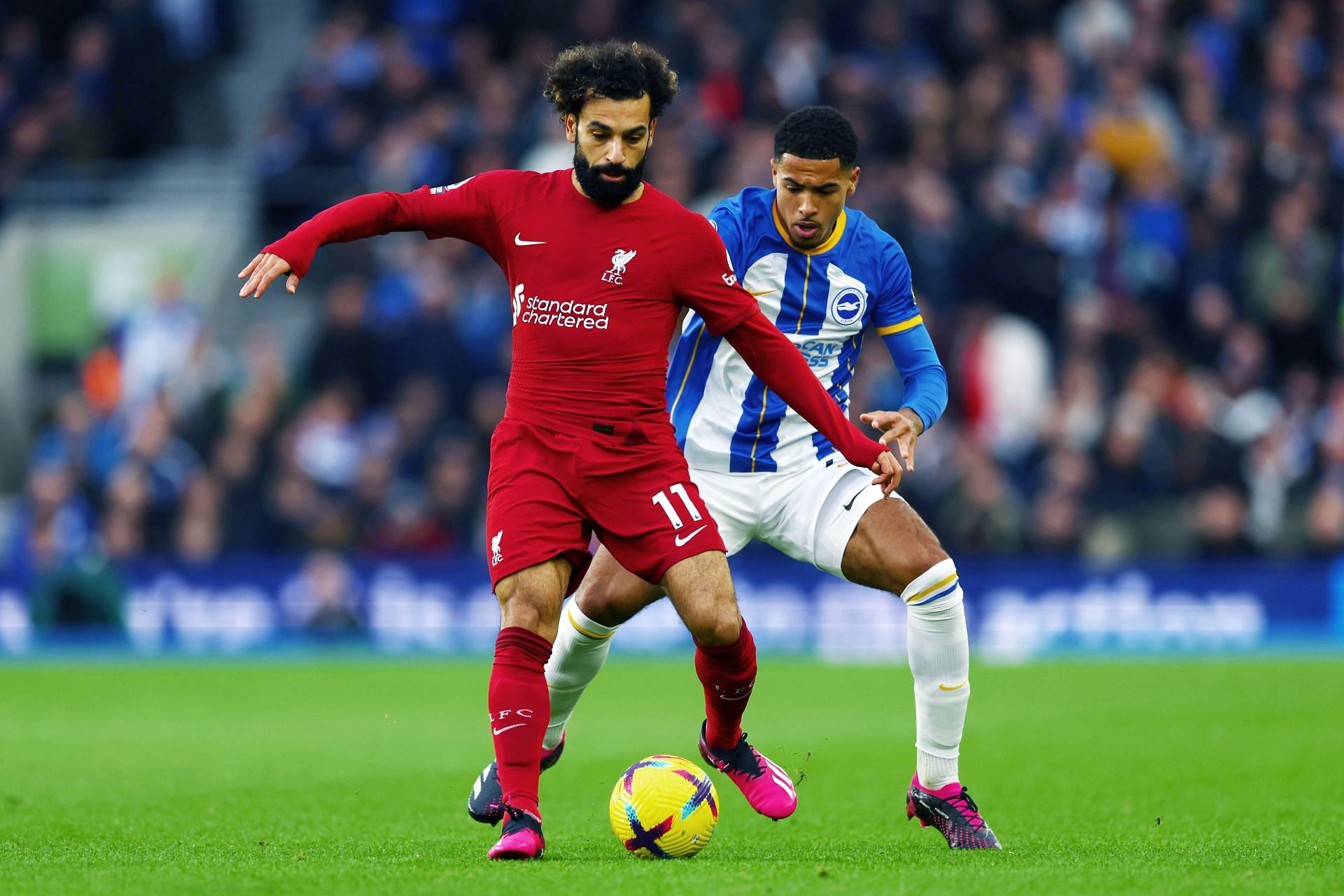 Brighton & Hove Albion v Liverpool FC - Premier League